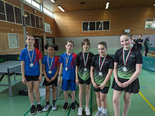 Mannschaftsmeisterschaft der Jugend